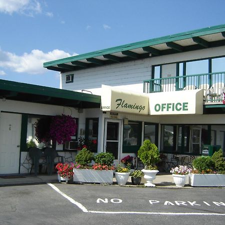 Flamingo Motel Penticton Ngoại thất bức ảnh
