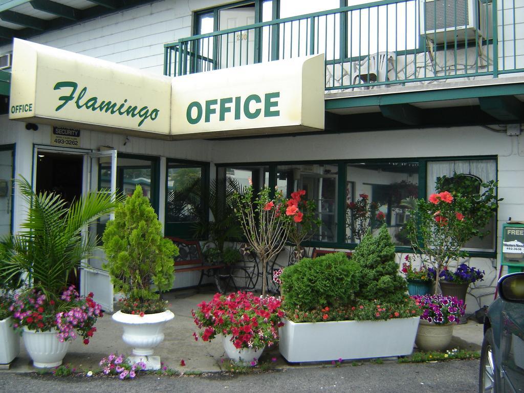 Flamingo Motel Penticton Ngoại thất bức ảnh