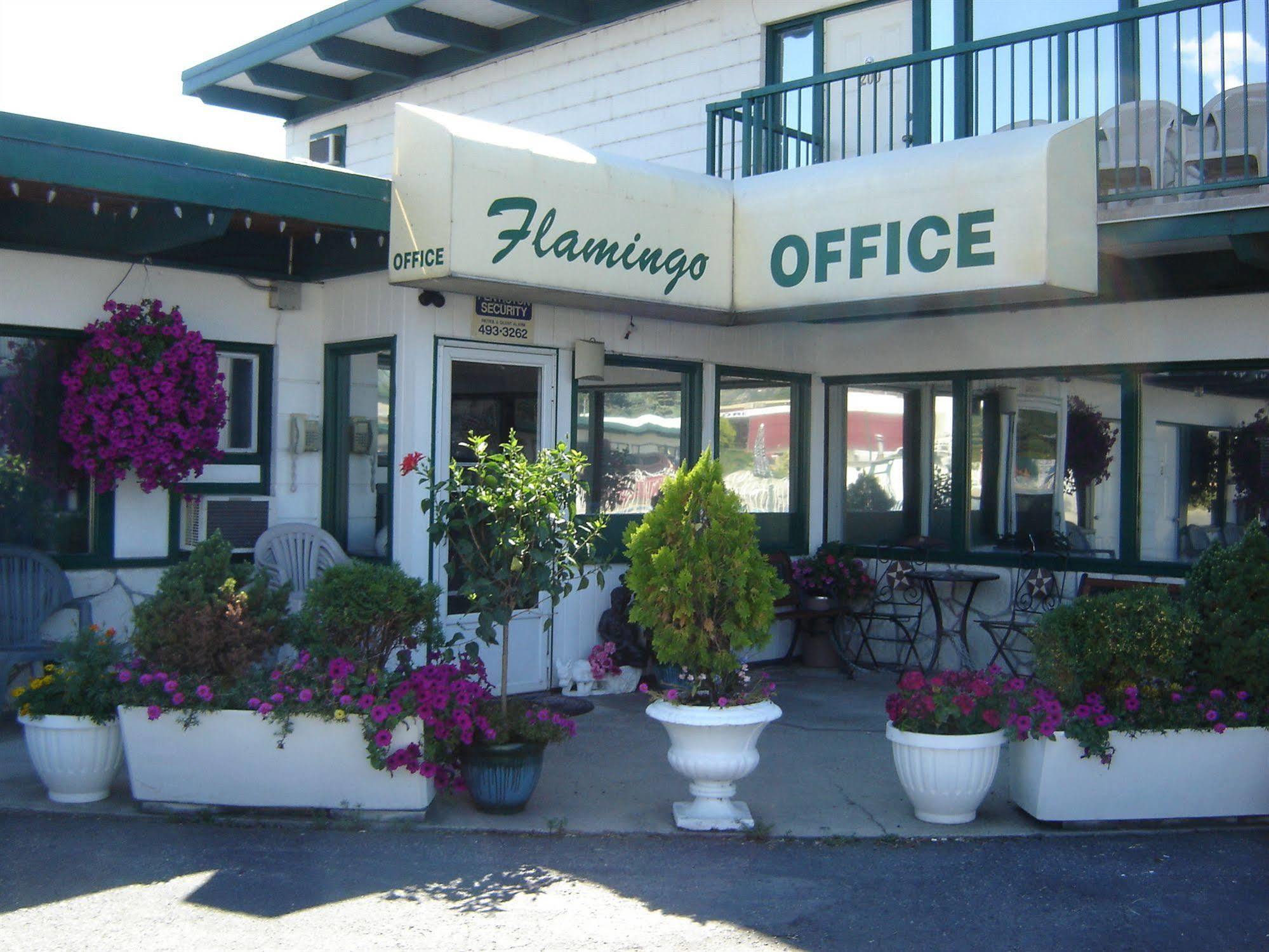 Flamingo Motel Penticton Ngoại thất bức ảnh